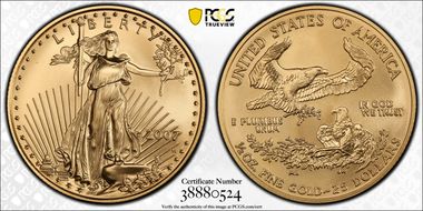2007-W $25 Burnished Gold Eagle SP70