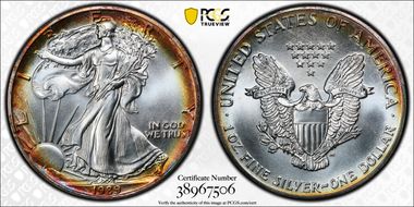 1989 $1 Silver Eagle MS67