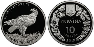 2019 10 Hry White-tailed Eagle PR70DCAM