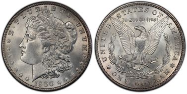 1900 $1 MS64