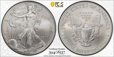 2007-W $1 Burnished Silver Eagle SP69