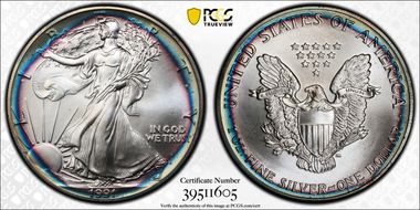 1991 $1 Silver Eagle MS67