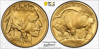 2008-W $25 Burnished American Buffalo .9999 Fine Gold SP70