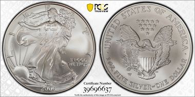 2006-W $1 Burnished Silver Eagle 20th Anniversary SP69