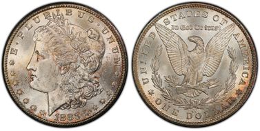 1883-CC $1 MS65