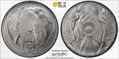 2020 20 Rand The Big Five - Elephant Pt First Strike MS70