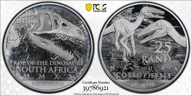 2020 25 Rand Coelophysis-Archosauria MS70