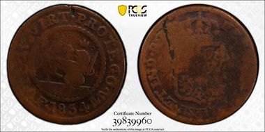 1834-MA F Quarto Calico-99 KM-10 VG10BN