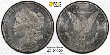 1878-CC $1 VAM 6, Doubled Leaves N1