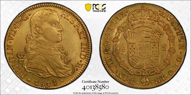 1811/0-Mo HJ 8 Esc Calico-1784 N1