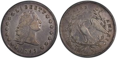 1795 $1 Flowing Hair, 2 Leaves N1