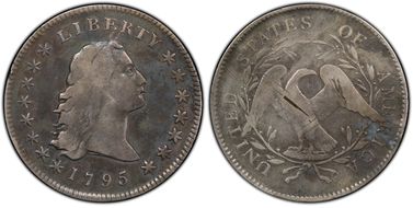 1795 $1 Flowing Hair, 2 Leaves N1
