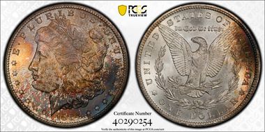 1884-CC $1 MS64