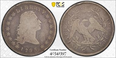 1795 $1 Flowing Hair, 2 Leaves G6