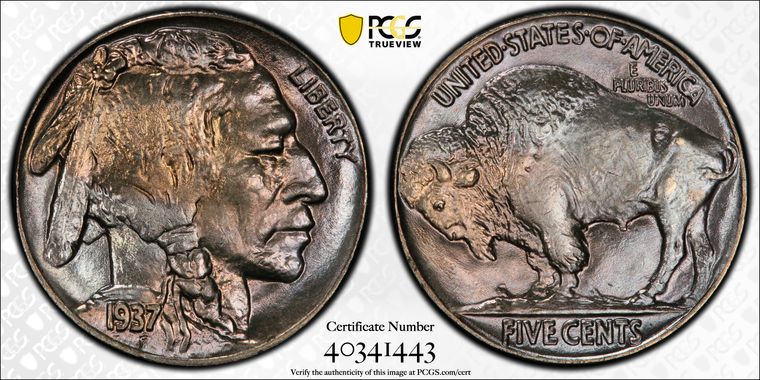 Cert 40341443 - Coin Image