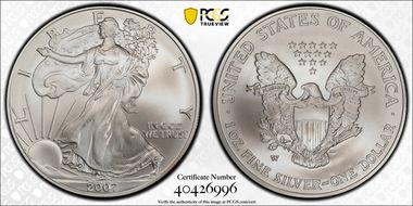 2007-W $1 Burnished Silver Eagle SP70