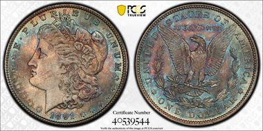 1891 $1 MS66