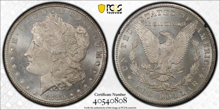 Cert 40540808 - Coin Image