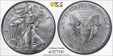 2020-W $1 Burnished Silver Eagle SP69