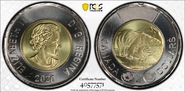 2020 $2 Polar Bear MS65