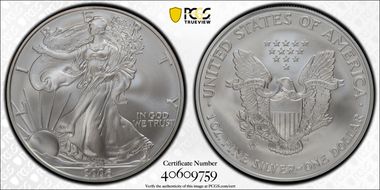 2006-W $1 Burnished Silver Eagle SP70