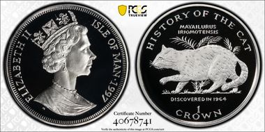1997 Crown Mayailurus Iriomotensis KM-779 PR70DCAM
