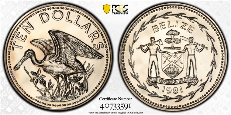 Cert 40733591 - Coin Image