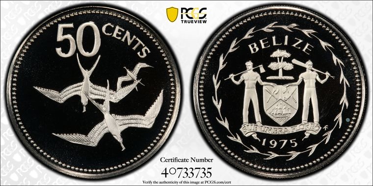 Cert 40733735 - Coin Image
