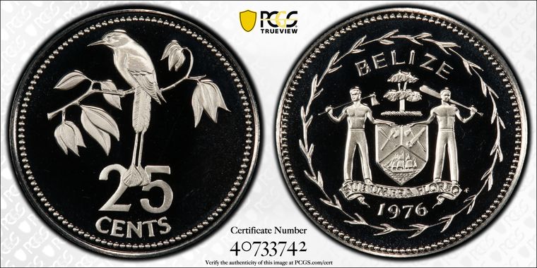 Cert 40733742 - Coin Image