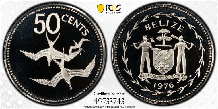 Cert 40733743 - Coin Image