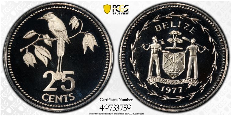 Cert 40733750 - Coin Image