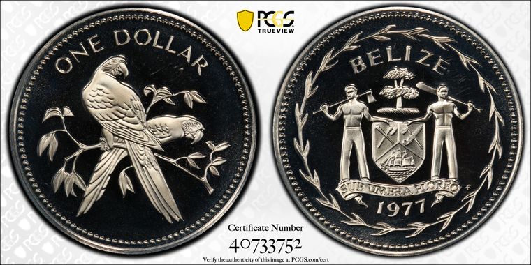 Cert 40733752 - Coin Image