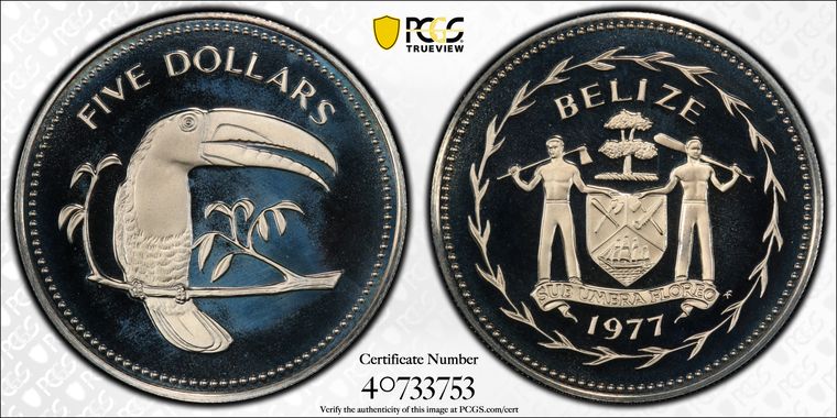 Cert 40733753 - Coin Image