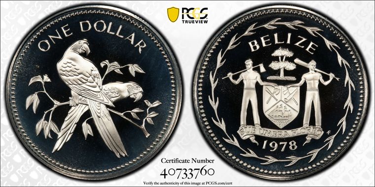 Cert 40733760 - Coin Image