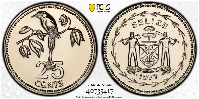 Cert 40735417 - Coin Image