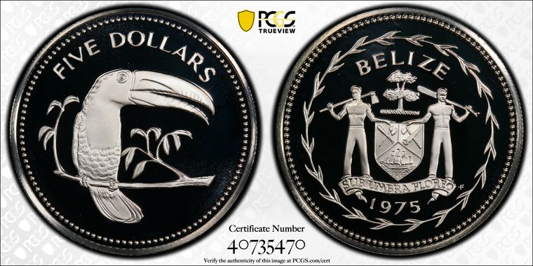 Cert 40735470 - Coin Image