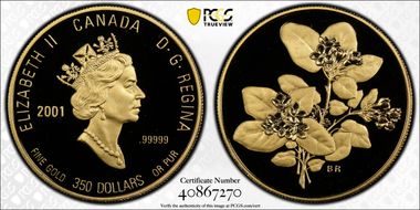 2001 $350 Mayflower PR70DCAM