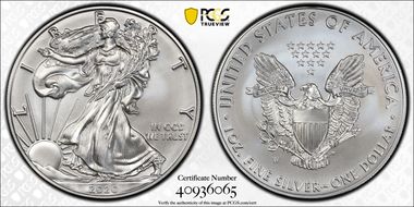 2020-W $1 Burnished Silver Eagle SP69