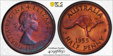 1955(p) 1/2D No Dot PR63RB