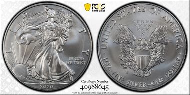 2020-W $1 Burnished Silver Eagle SP69