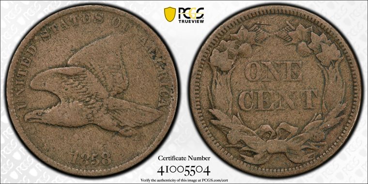 Cert 41005504 - Coin Image