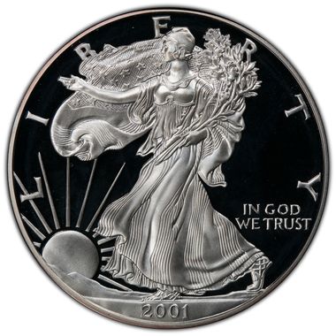 Cert 41005585 - Coin Image