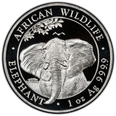 Cert 41008625 - Coin Image