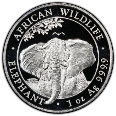 Cert 41008626 - Coin Image