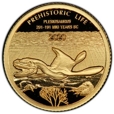 Cert 41058864 - Coin Image