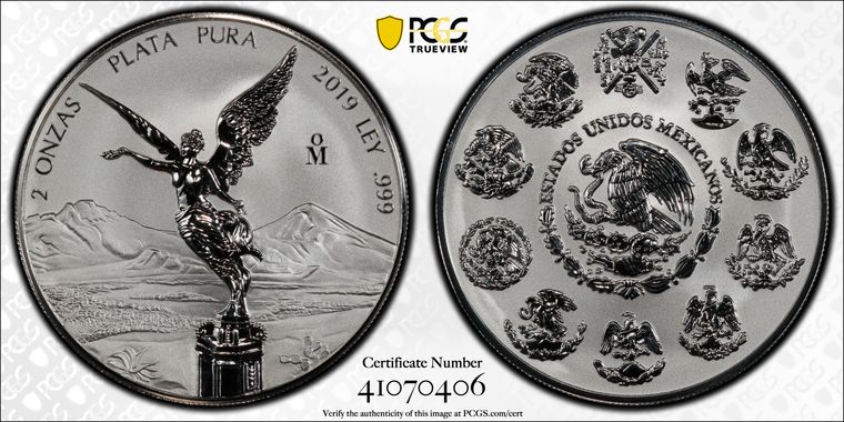 Cert 41070406 - Coin Image