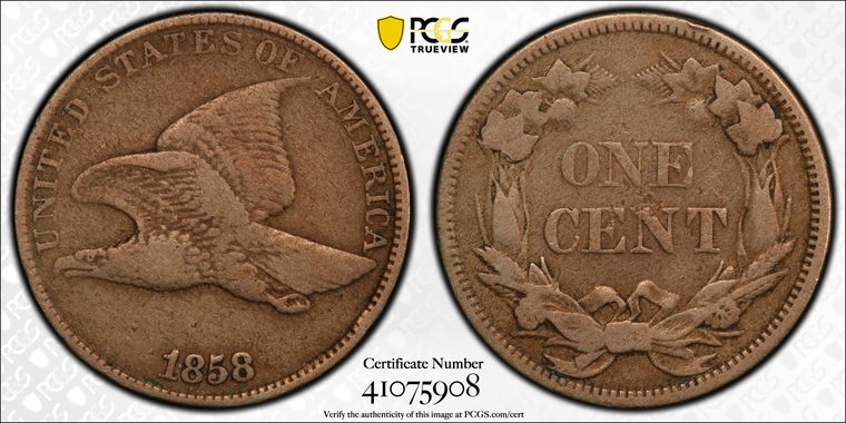 Cert 41075908 - Coin Image