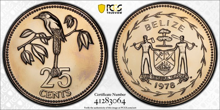 Cert 41283064 - Coin Image