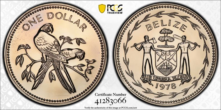 Cert 41283066 - Coin Image