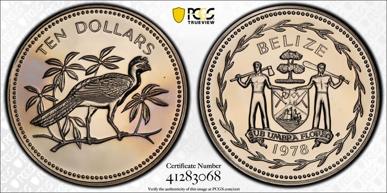 Cert 41283068 - Coin Image